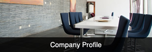 Company Profile